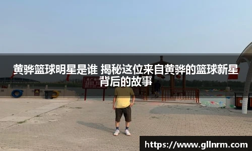 NG体育首页