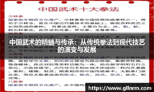 中国武术的精髓与传承：从传统拳法到现代技艺的演变与发展