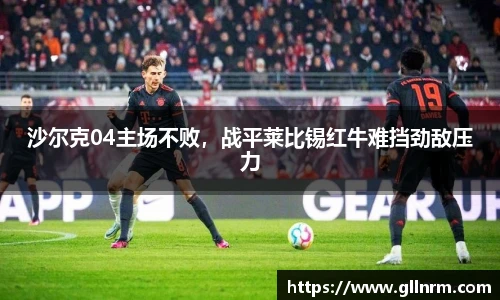 沙尔克04主场不败，战平莱比锡红牛难挡劲敌压力