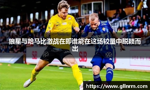 狼星与哈马比激战在即谁能在这场较量中脱颖而出