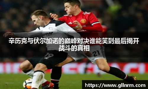 辛历克与伏尔加诺的巅峰对决谁能笑到最后揭开战斗的真相